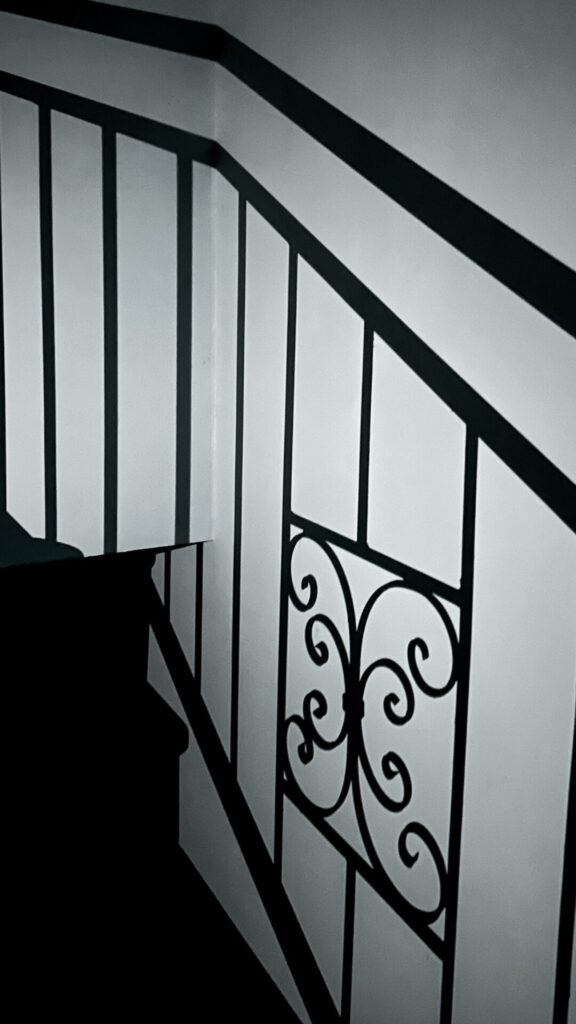 fashion photographer